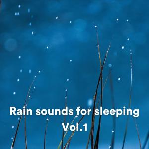 Album Rain sounds for sleeping, Vol. 1 oleh Relaxing Rain Sounds
