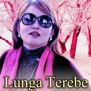 收聽Bibash Nembang的Ke Ninwa Tukpi歌詞歌曲