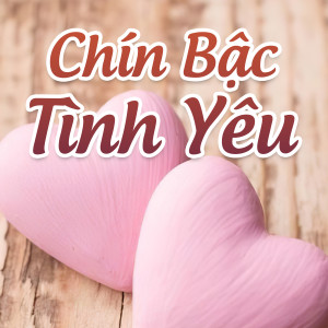 收聽Ngọc Tân的Mùa nho chín歌詞歌曲