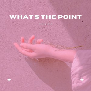 Listen to What's the point song with lyrics from shxde