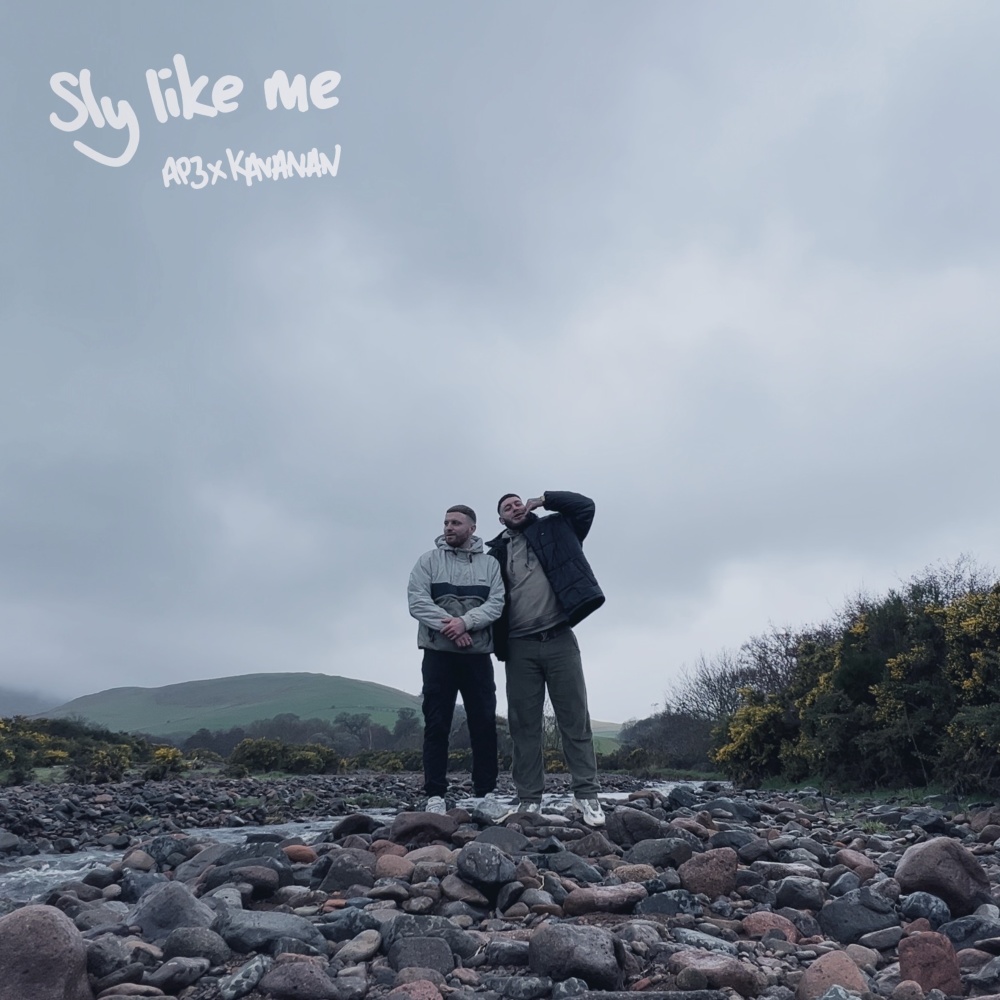 Sly Like Me (Explicit)
