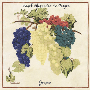 收聽Mark Alexander McIntyre的A Life of Bad Luck歌詞歌曲