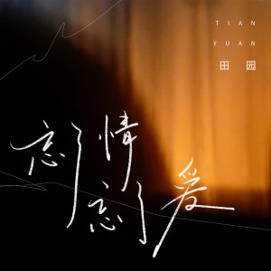 收聽田園的忘了情忘了愛(不如就戒了情戒了愛)歌詞歌曲