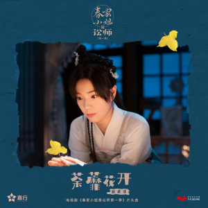 Album 荼蘼花开 (电视剧《春家小姐是讼师第一季》片头曲) from 薛琳可