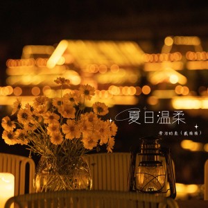 Album 夏日温柔 from 带泪的鱼