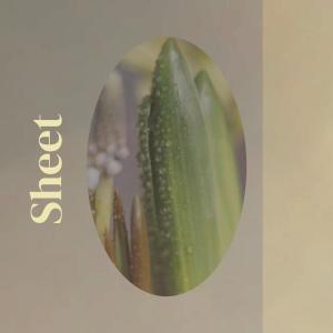 收聽Shiena Mily的Go Off歌詞歌曲