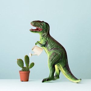 收聽Khal Allan的DINOSAURUS < KAKTUS歌詞歌曲