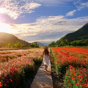 อัลบัม Música Para El Ritmo De La Naturaleza ศิลปิน Sombra Relajante