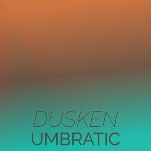 Listen to Dusken Umbratic song with lyrics from Bato Maty