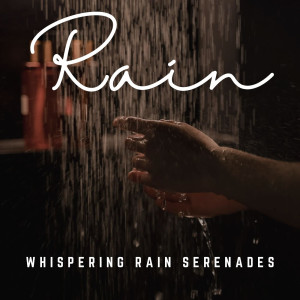 Rainfall Reverie: A Nature's Symphony