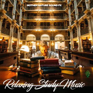 Dengarkan lagu Piano & Strings Relaxing nyanyian Mother Nature Sound FX dengan lirik