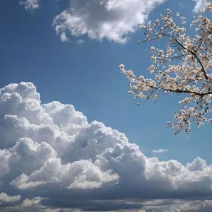 ดาวน์โหลดและฟังเพลง Solfeggio Frequency (852 Hz) Tranquil Ether Journey พร้อมเนื้อเพลงจาก Magical Mystery