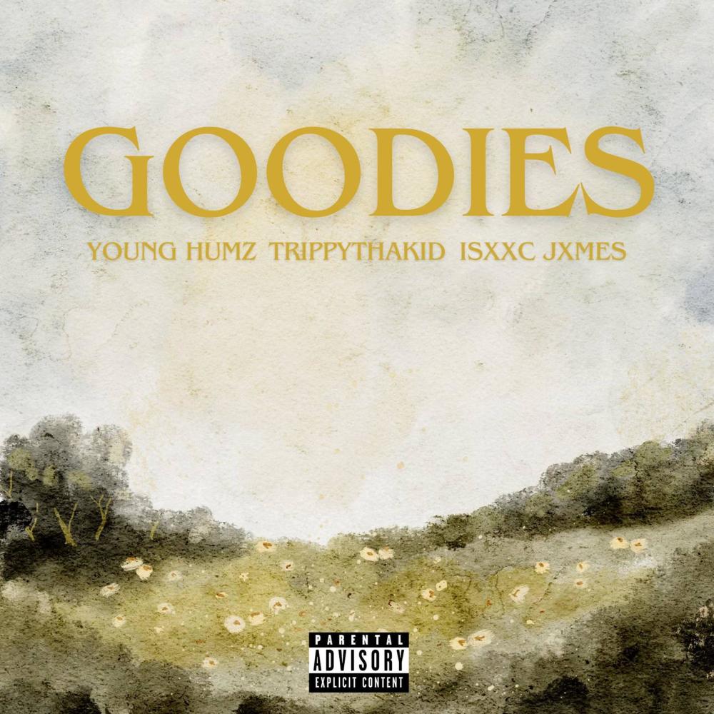 Goodies (feat. JASON RICH) (Explicit)
