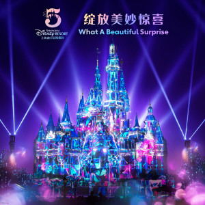 收聽張靚穎的綻放美妙驚喜歌詞歌曲