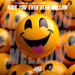 Pulsedriver的專輯Have You Ever Been Mellow
