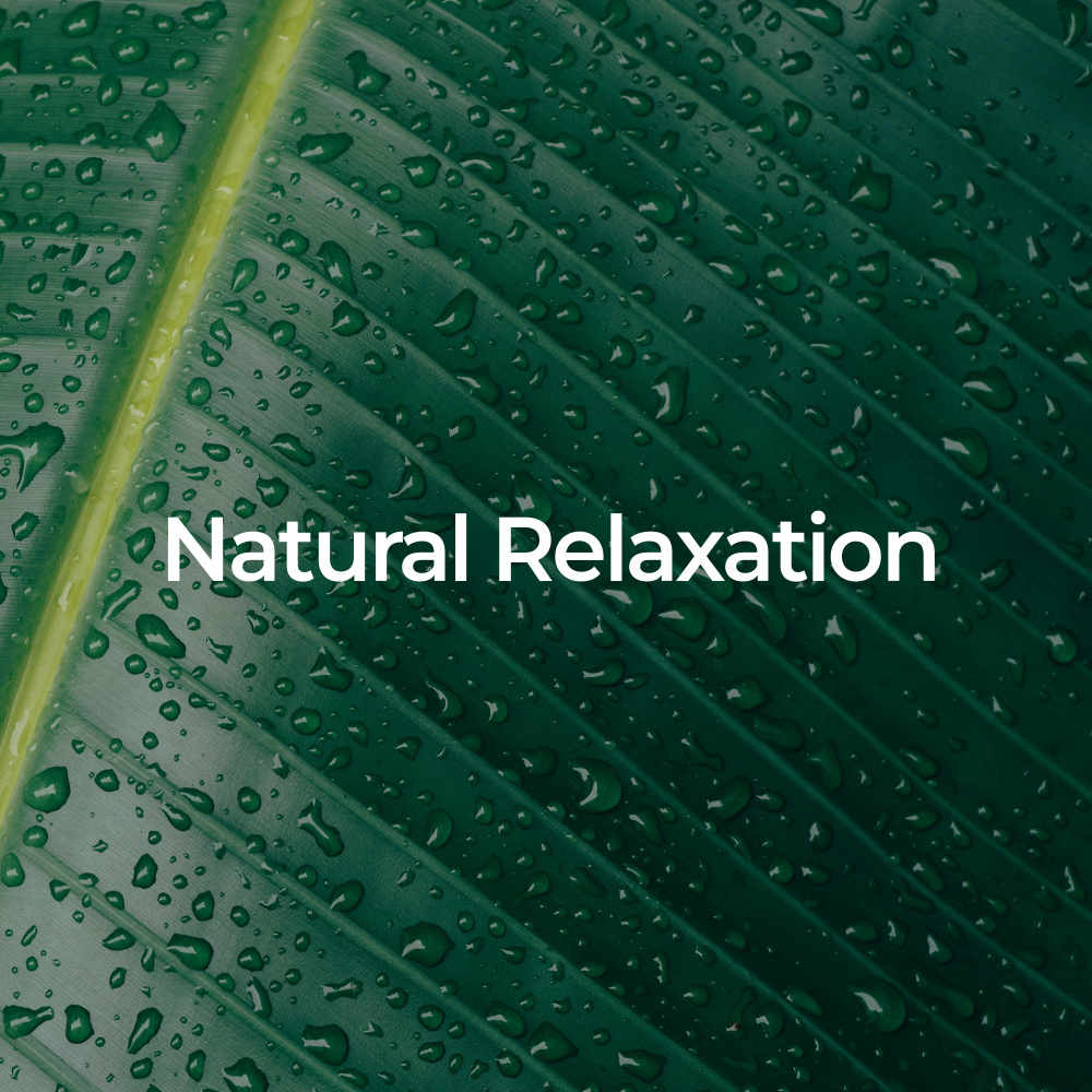 Forest Sounds for Sleep