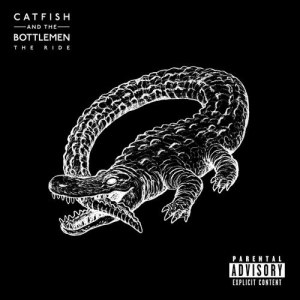 Catfish And The Bottlemen的專輯7