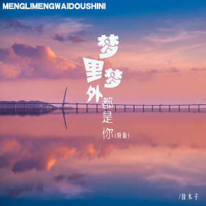 Listen to 梦里梦外都是你 (原版) song with lyrics from 徐环