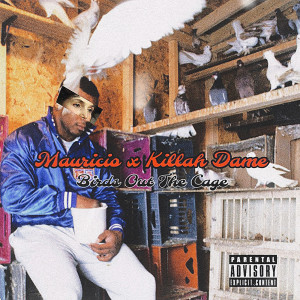 default album img