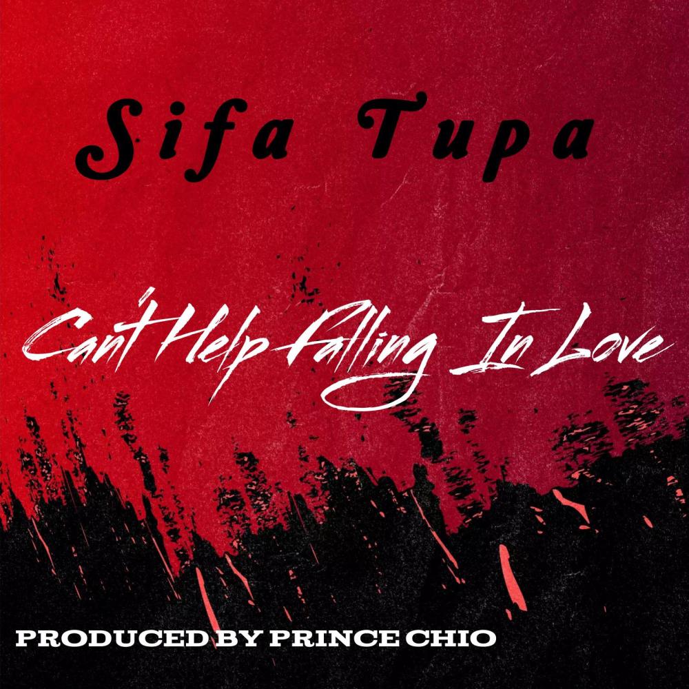 Can't Help Falling In Love