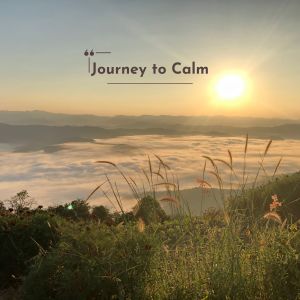 Lofi Radiance的专辑Journey to Calm