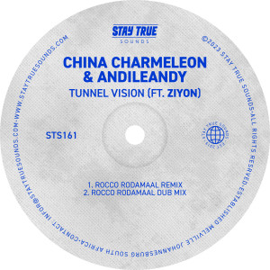 China Charmeleon的專輯Tunnel Vision (feat. Ziyon) (Rocco Rodamaal Remix)