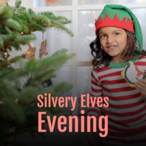 Album Silvery Elves Evening oleh Various
