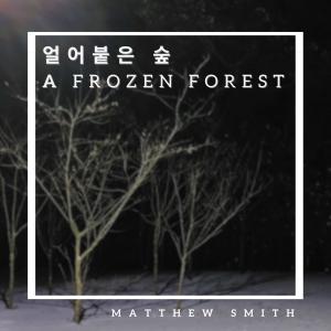 Album a frozen forest from Matthew Smith