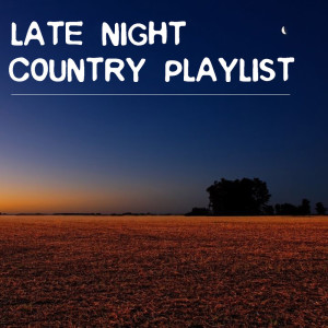 Dengarkan lagu 'Till I Can Gain Control Again nyanyian Willie Nelson dengan lirik