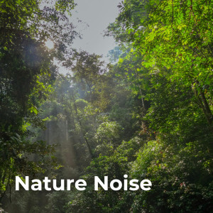 Nature Vibrations的專輯Nature Noise