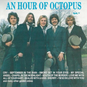 Listen to Bring It on Home to Me song with lyrics from Octopus