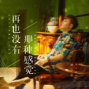 收聽楊小壯的再也沒有那種感覺歌詞歌曲