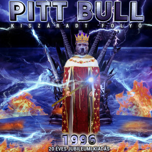 Listen to Pitt Bull song with lyrics from Pitt Bull