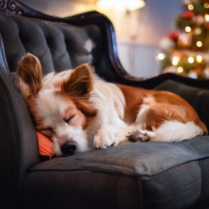 ดาวน์โหลดและฟังเพลง Las Armonías De Ensueño Fomentan El Descanso พร้อมเนื้อเพลงจาก Pioneros de lo-fi