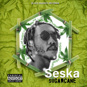Seska的專輯Sugarcane (Explicit)