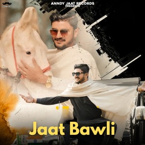 Listen to Jaat Bawli song with lyrics from Anndy Jaat