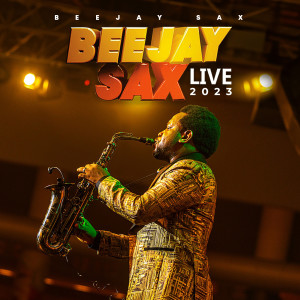 Dengarkan Ijinle (Live) lagu dari Beejay Sax dengan lirik