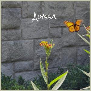 Listen to Guardianship Nose song with lyrics from Ande Sush