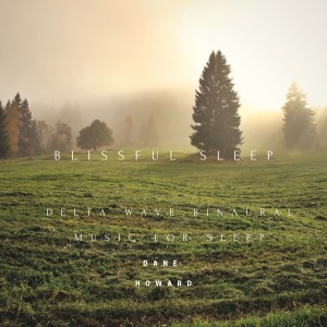 ดาวน์โหลดและฟังเพลง Blissful Sleep (Delta Wave Binaural Music for Sleep) พร้อมเนื้อเพลงจาก Dane Howard