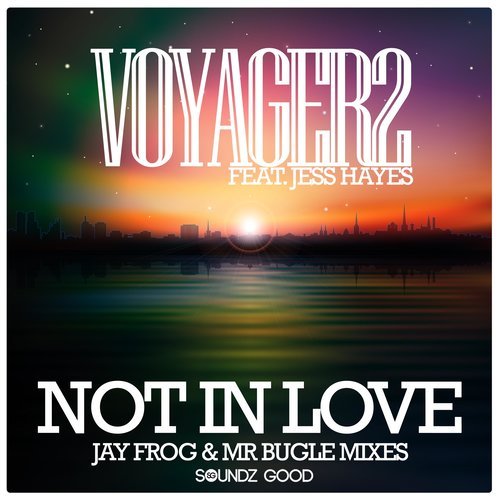 Not In Love (feat. Jess Hayes) [Jay Frog & Mr Bugle Edit] (Jay Frog & Mr Bugle Edit)