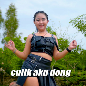 Album Culik Aku Dong oleh DS AXL