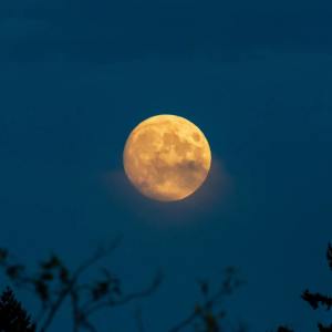 Listen to Above All song with lyrics from Deep Sleep