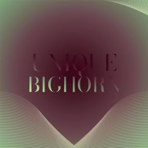 ดาวน์โหลดและฟังเพลง Unique Bighorn พร้อมเนื้อเพลงจาก Lolo Ediol