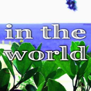 ดาวน์โหลดและฟังเพลง In The World (Cristian Paduraru Tech Breaks Mix) พร้อมเนื้อเพลงจาก Icey Wink