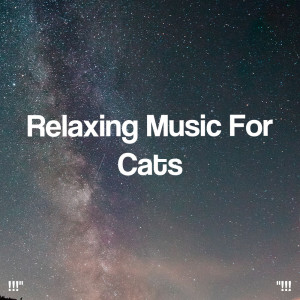 Spa Relaxation的專輯!!!" Relaxing Music For Cats "!!!
