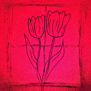 Album Tulpen from Jonii