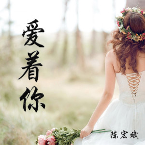 Listen to 这是我故乡 (伴奏) song with lyrics from 陈宏斌
