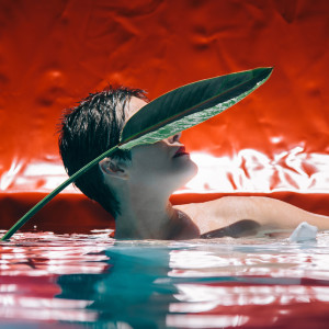 收聽Alessandra Leão的Ponto para Malunguinho歌詞歌曲