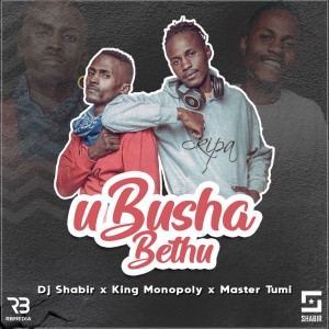 DJ Shabir的專輯uBusha Bethu