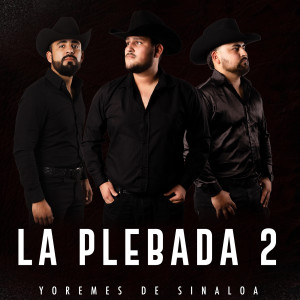 Listen to La Plebada 2 song with lyrics from Yoremes De Sinaloa